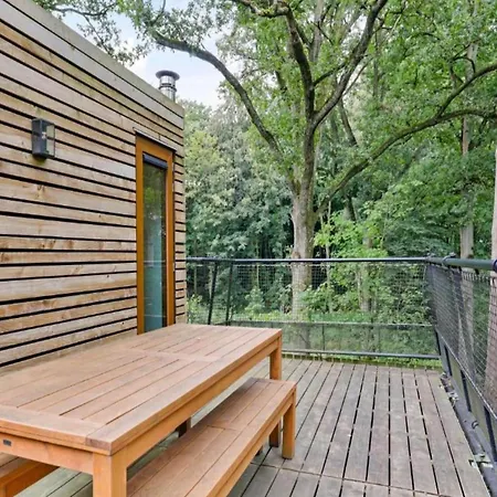 Escape Near Forest *