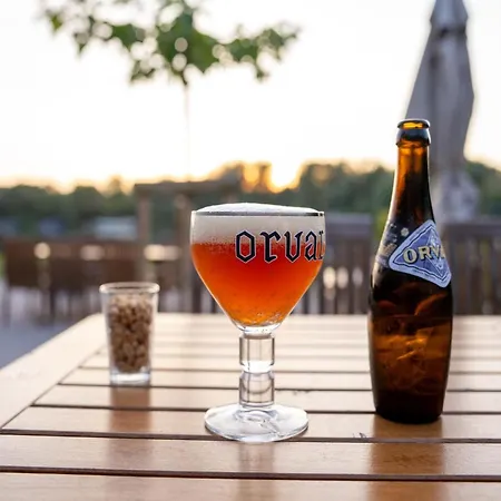 Escape Near Forest *