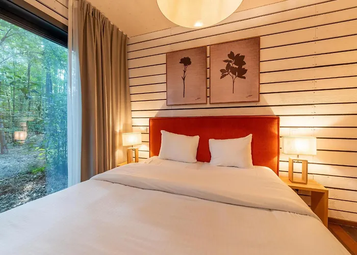 Escape Near Forest Antoing