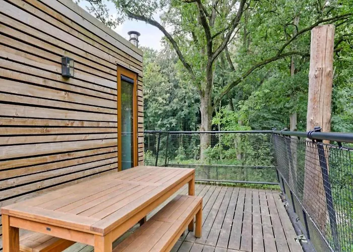 Escape Near Forest *