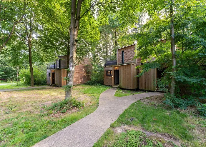 Escape Near Forest Hébergement de vacances Antoing